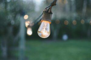 Outdoor Light bulb